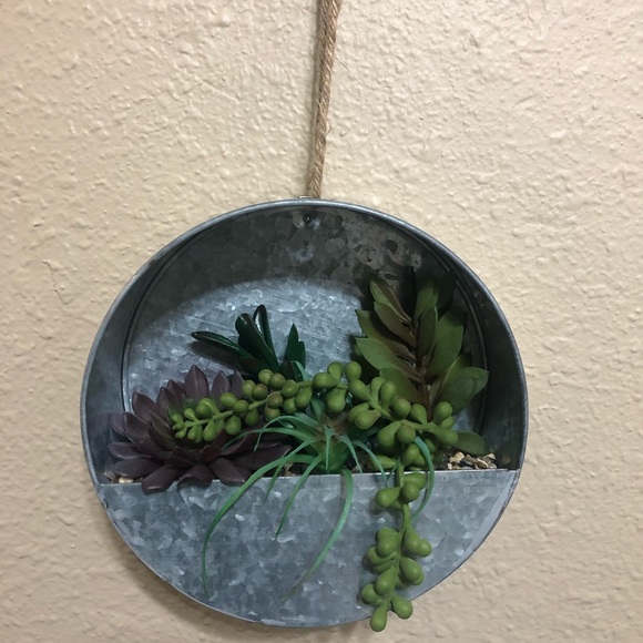 Other - Metal Wall Planter with succulent